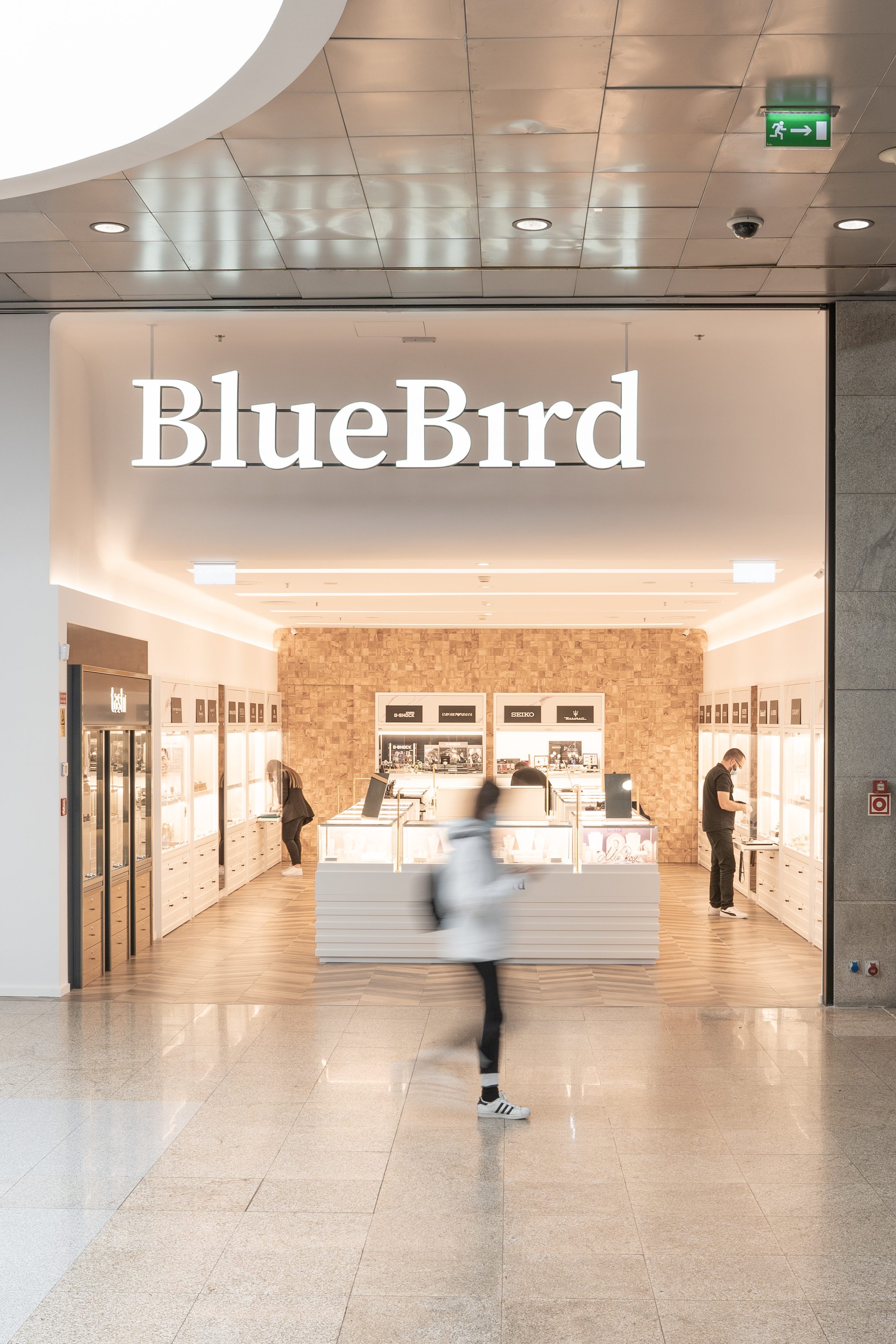 BluebirdBragaParque 109